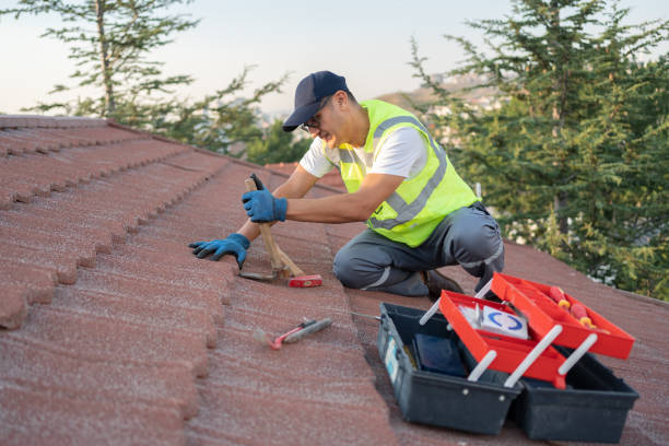 Best Shingle Roofing Installation  in Oak Hill, FL